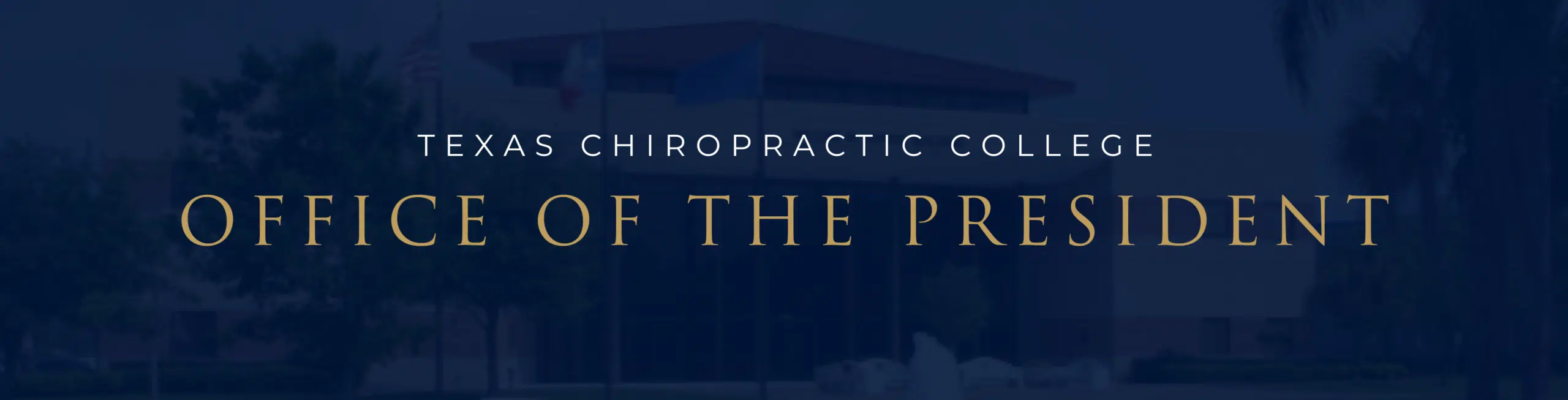 Texas Chiropractic College office